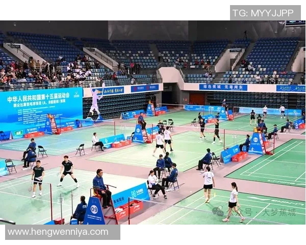 羽毛球的魅力与精神：深入武汉羽毛球队的文化与理念探讨